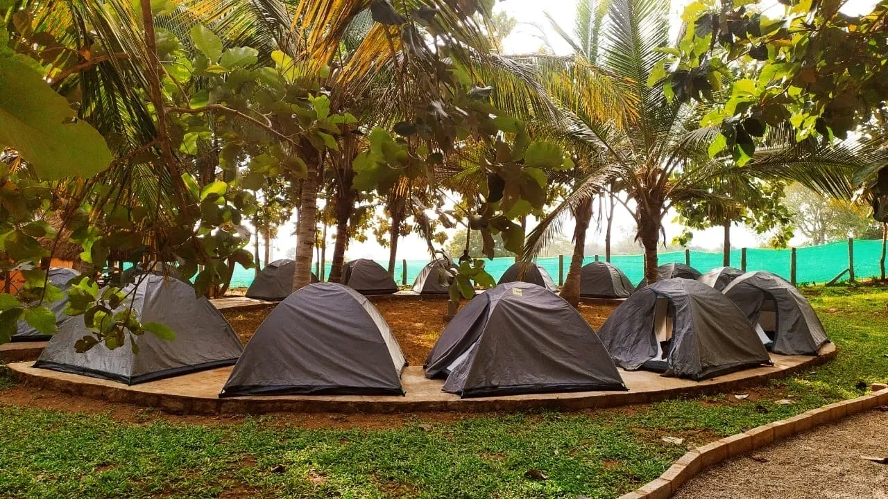 One Day Outing in Bangalore