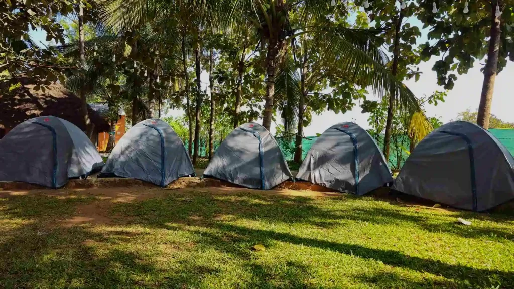 How is Corporate Camping Different from a Corporate Retreat?