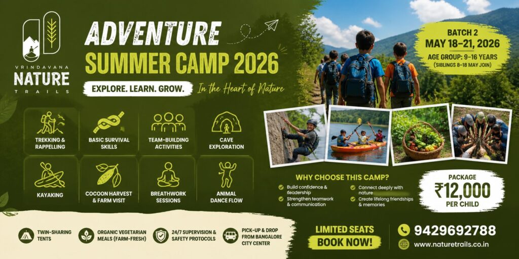 Best Activities Offered at Residential Summer Camps in Bangalore for Holistic Development
